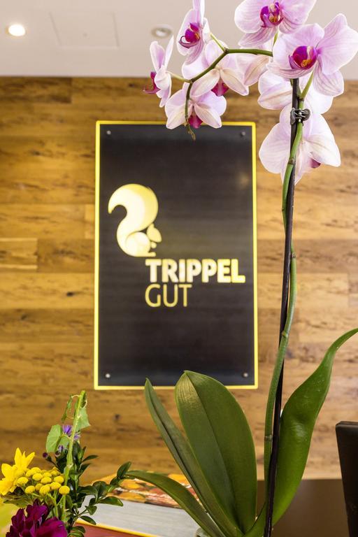 Отель Trippelgut - Schlafgut Фельдкирхен  Экстерьер фото